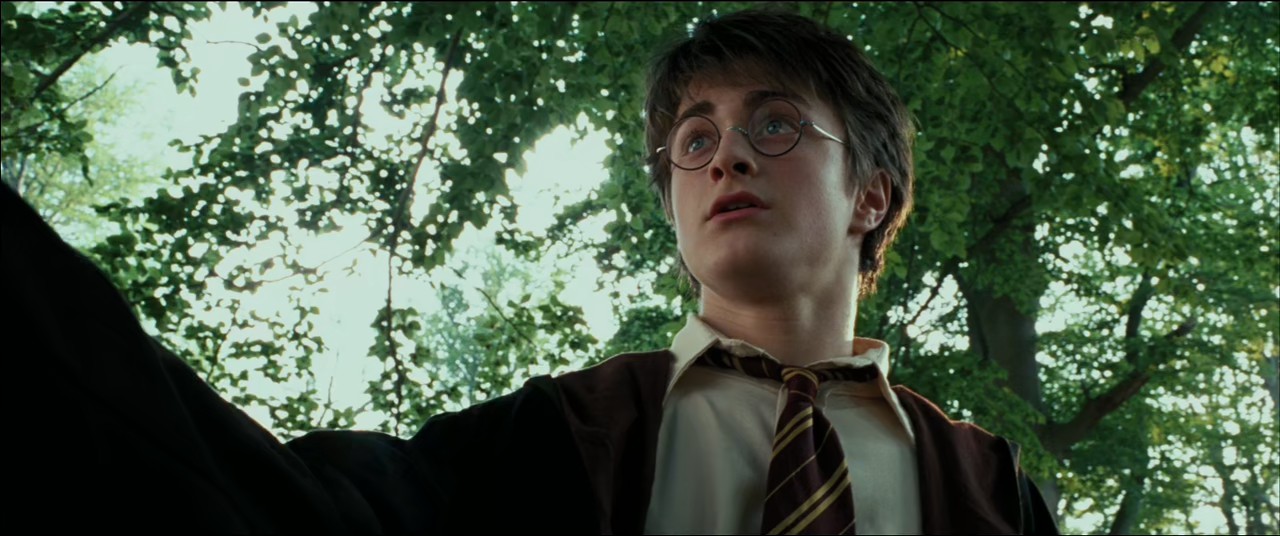 Harry Potter and the Prisoner of Azkaban (2004) BluRay Hindi + English 720p 10bit HEVC DDP 5.1 ESub.mkv.0001
